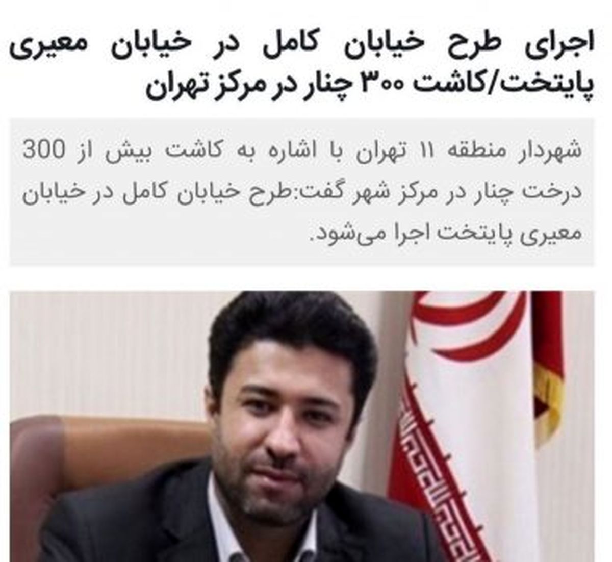 کاشت بیش از ۳۰۰ درخت چنار در مرکز شهر تهران آغاز شد