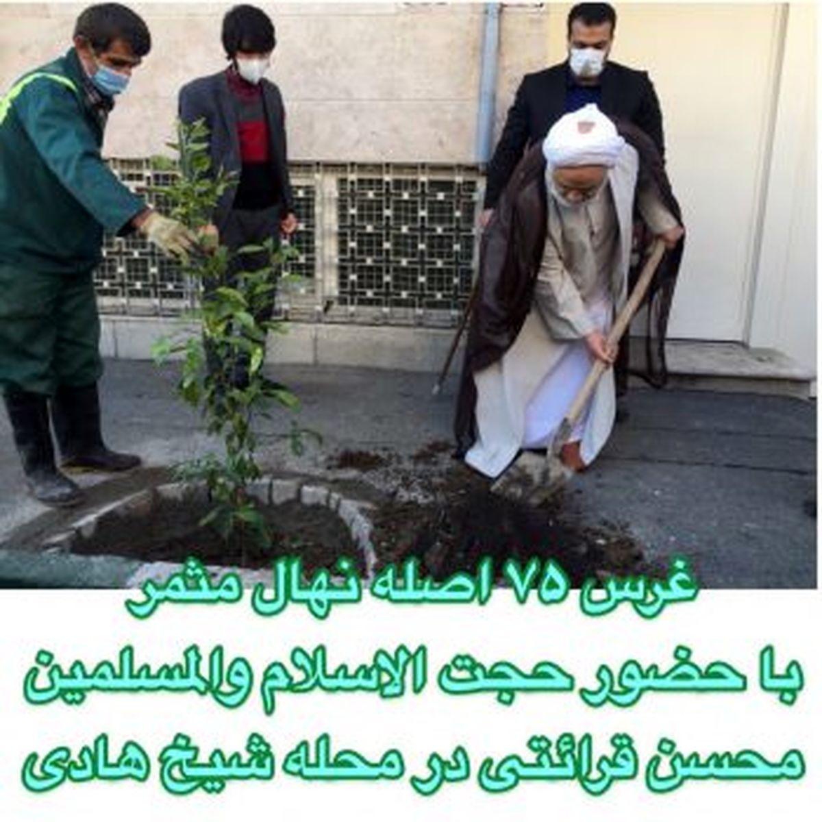 طرح نهضت درختکاری در محلههای مرکزی شهر تهران آغاز شد