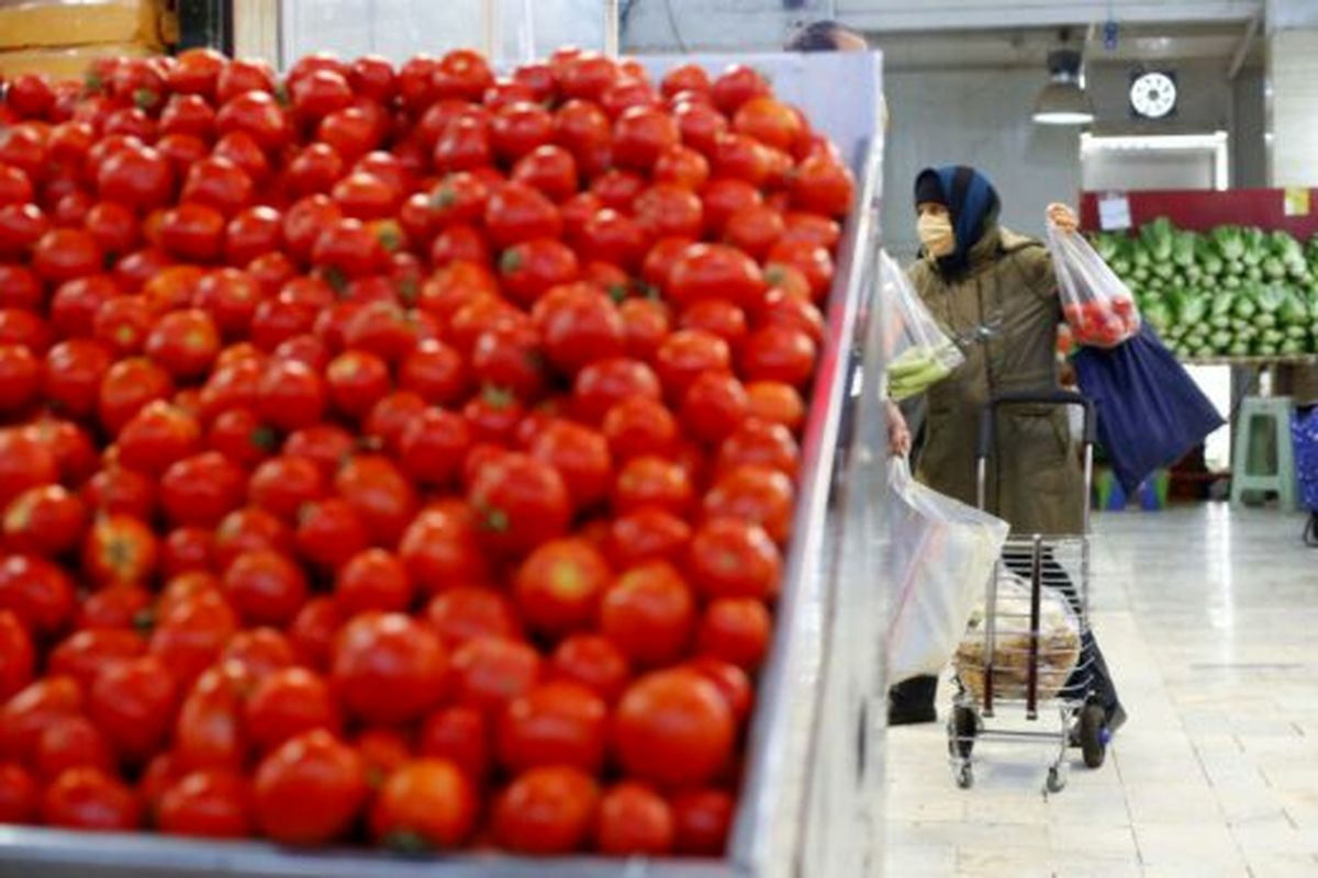 قیمت کدو، خیار رویال و گوجه فرنگی در میادین کاهش یافت