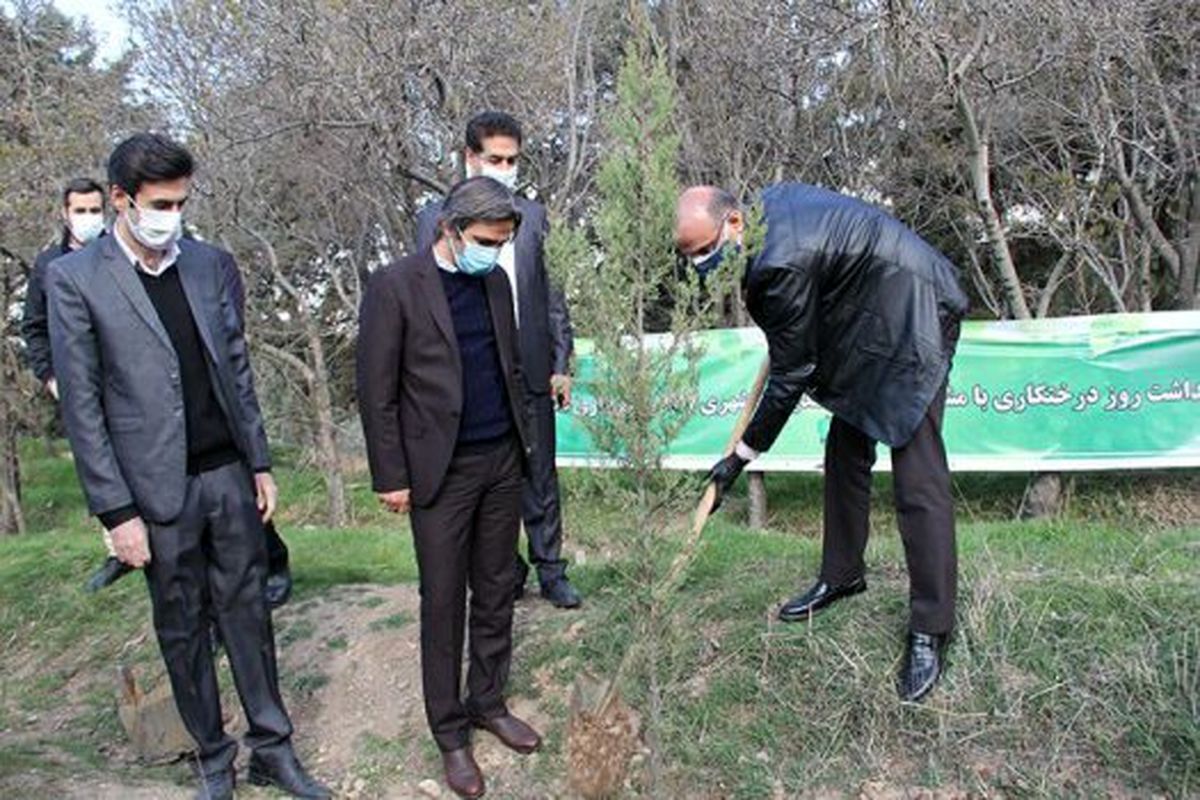 آغاز کاشت ۲۰۰ اصله نهال در بوستان سرخه حصار