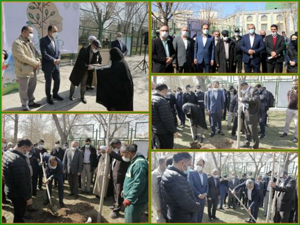 متفاوت ترین آئین درختکاری در منطقه۲۱ برگزار شد