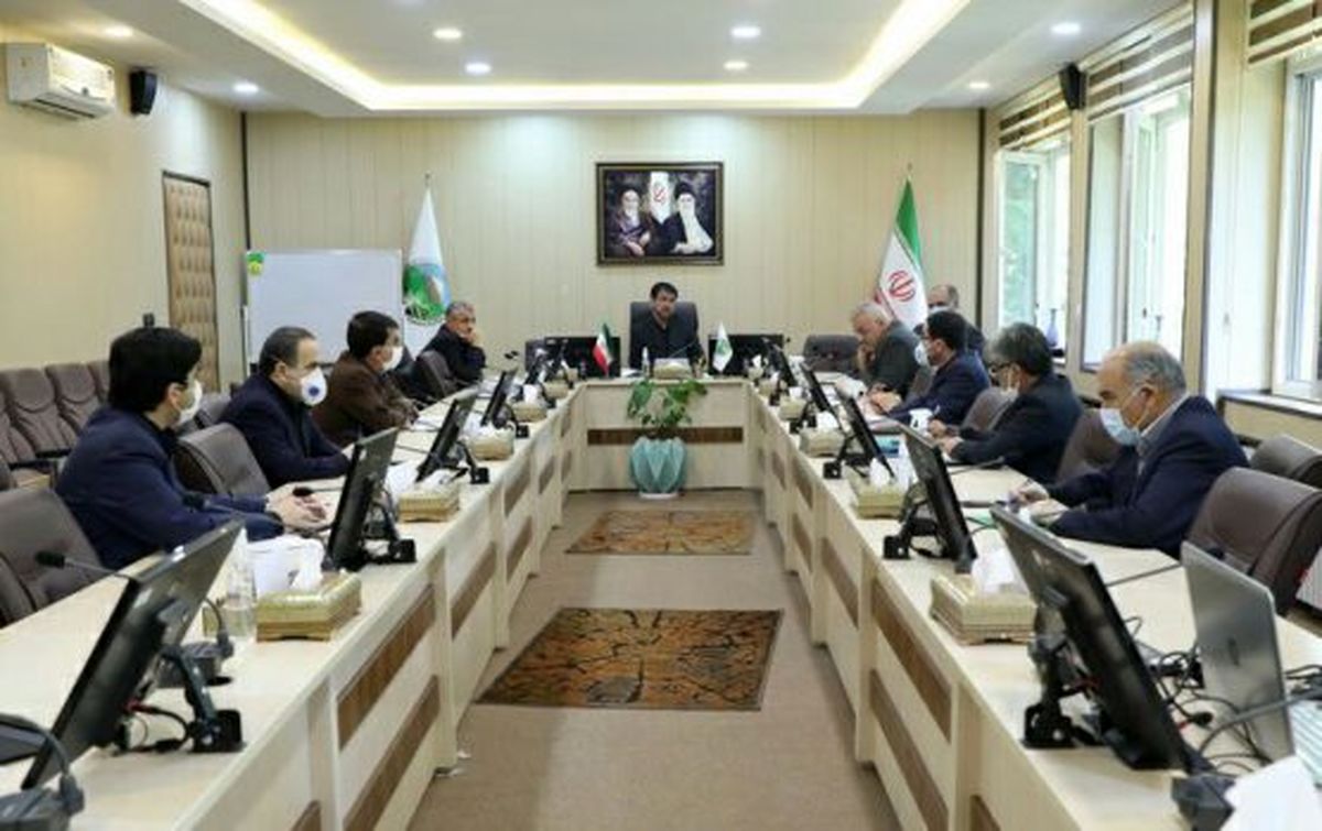 همکاری شهرداری تهران و سازمان جنگل‌ها، مراتع و آبخیزداری کشور