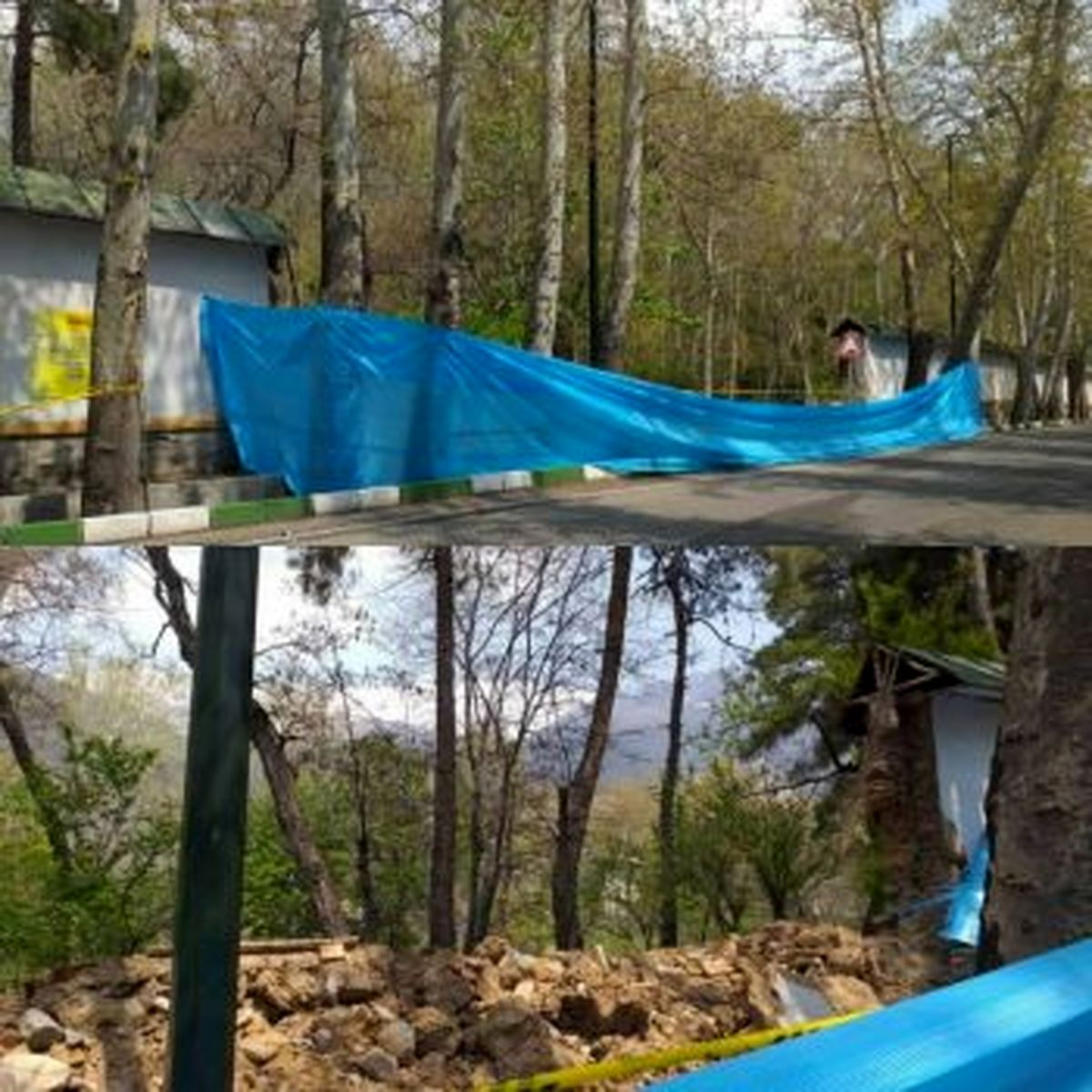 خشکه چینی نهر سعدآباد باعث خشک شدن درختان کهنسال می شود