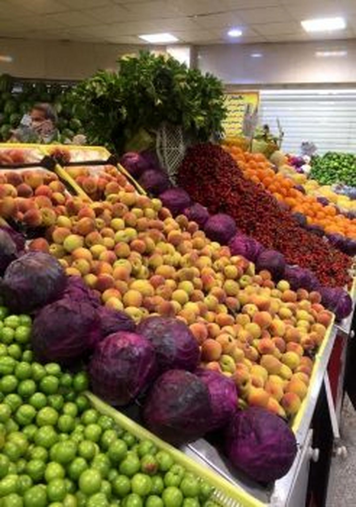 افزایش گرمای هوا، یخ قیمتها را آب کرد