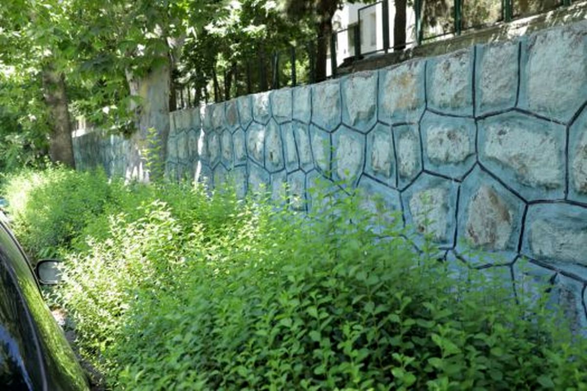 ایمن سازی بدنه معابر منطقه۲ با احداث دیوار سنگی