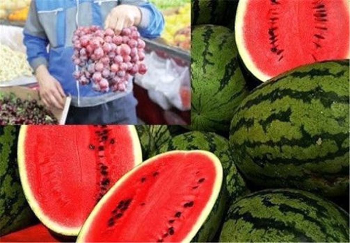 قیمت چه میوههایی در میادین میوه و تره بار ارزان شد؟