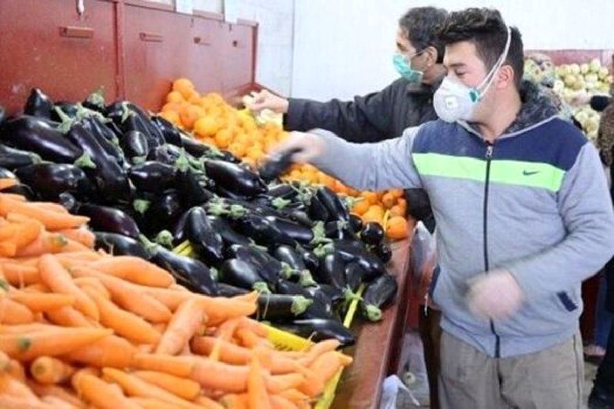 قیمت بادمجان، طالبی و هندوانه در میادین میوه و تره بار کاهش یافت