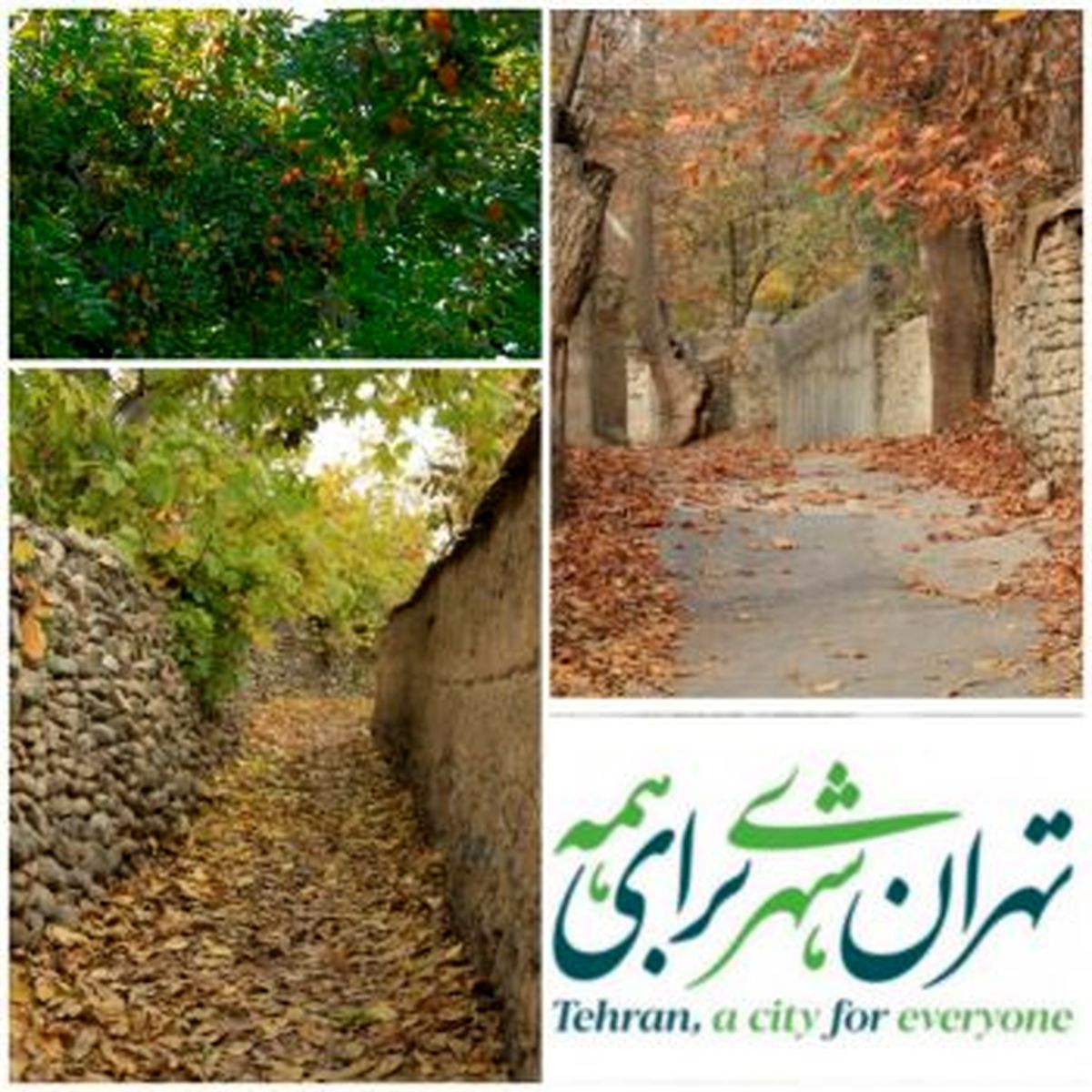 طرح تفصیلی بافت فرسوده کن، در آستانه ارسال به کمیسیون ماده۵ است