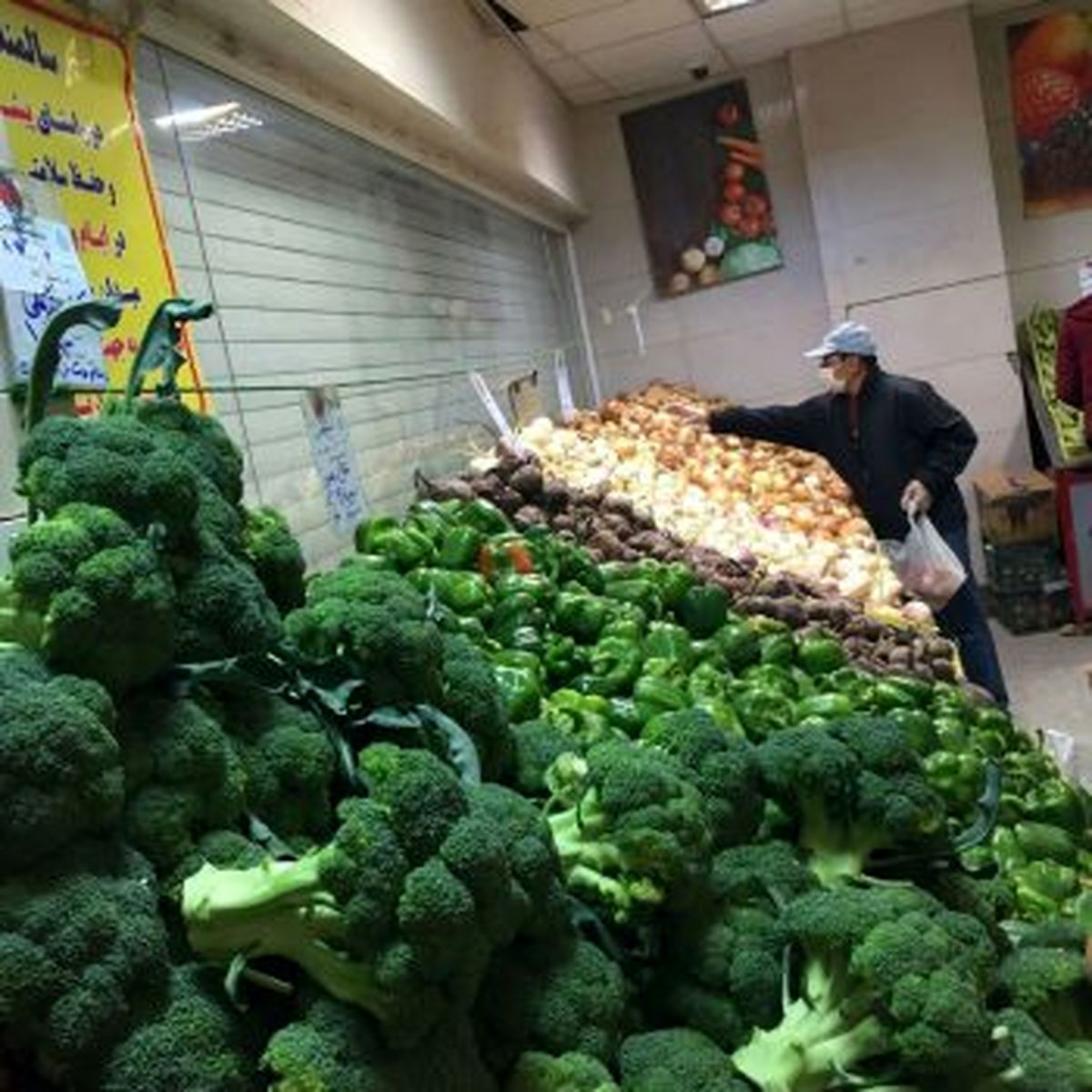 کاهش قیمت گوجه فرنگی در میادین میوه و تره بار