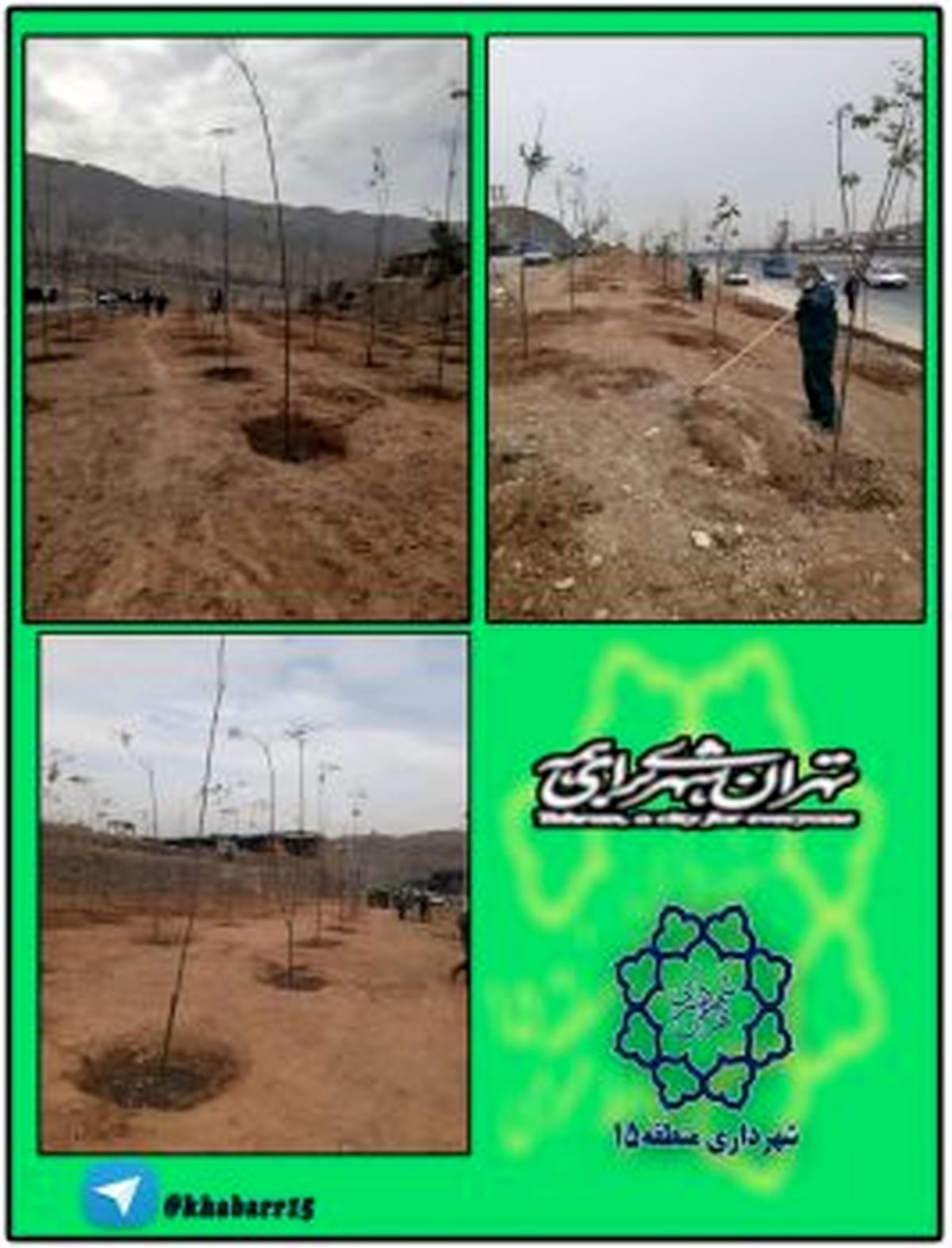 اتمام فاز نخست عملیات درختکاری در بزرگراه شهید نجفی رستگار منطقه ۱۵