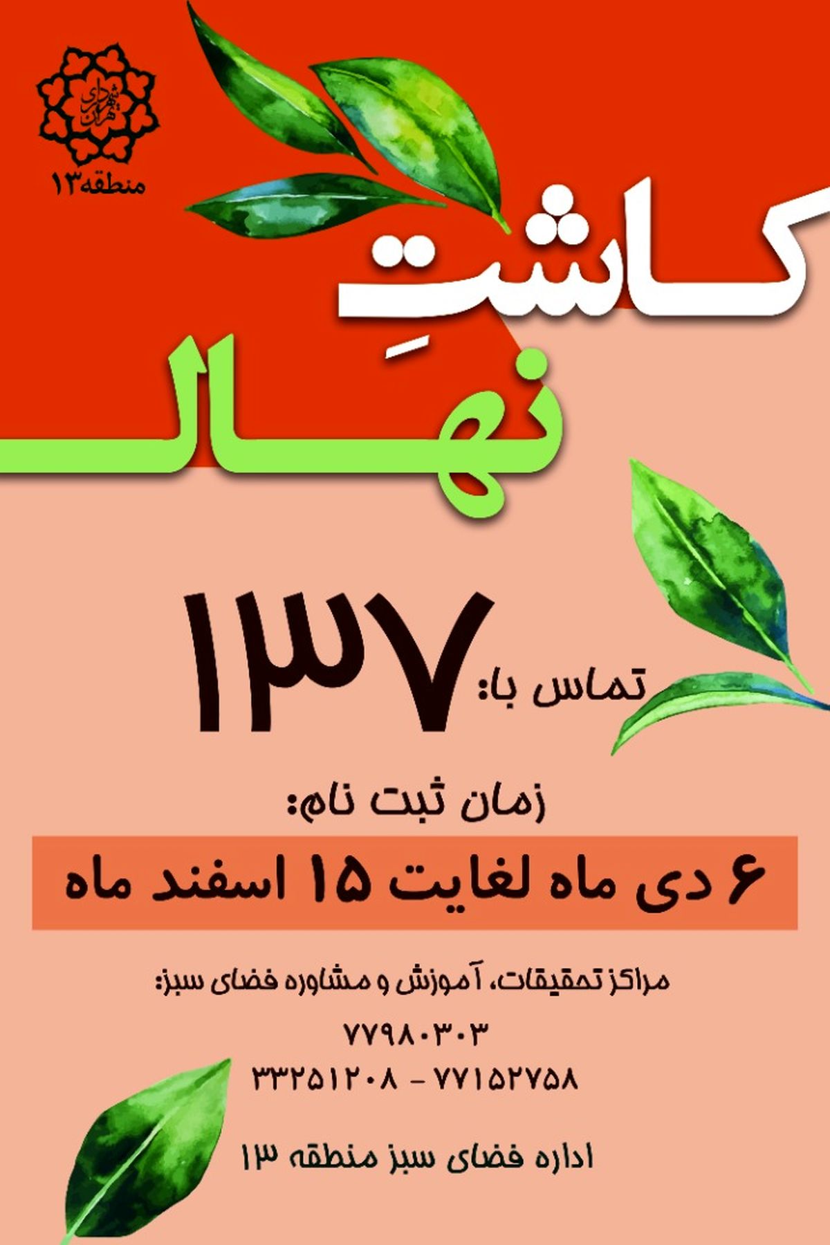 آغاز نهضت درختکاری در منطقه۱۳ با هدف توسعه فرهنگ محیط زیست