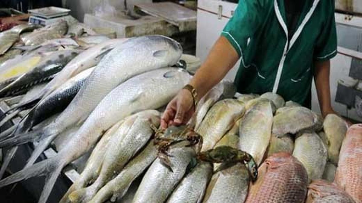 قیمت انواع ماهی در بازار امروز