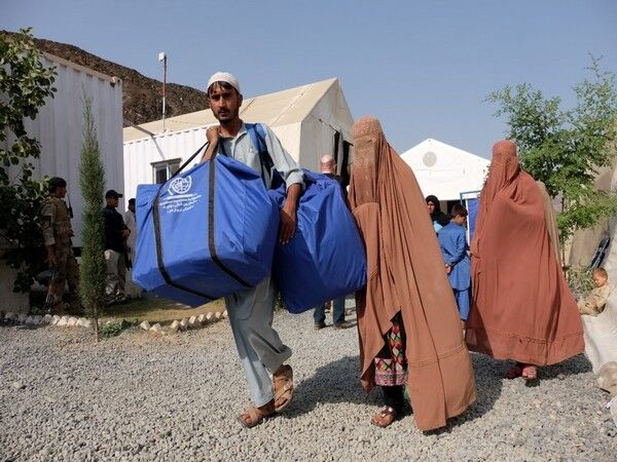 بیش از نیمی از مردم افغانستان مجبور به ترک شغل خود شده اند