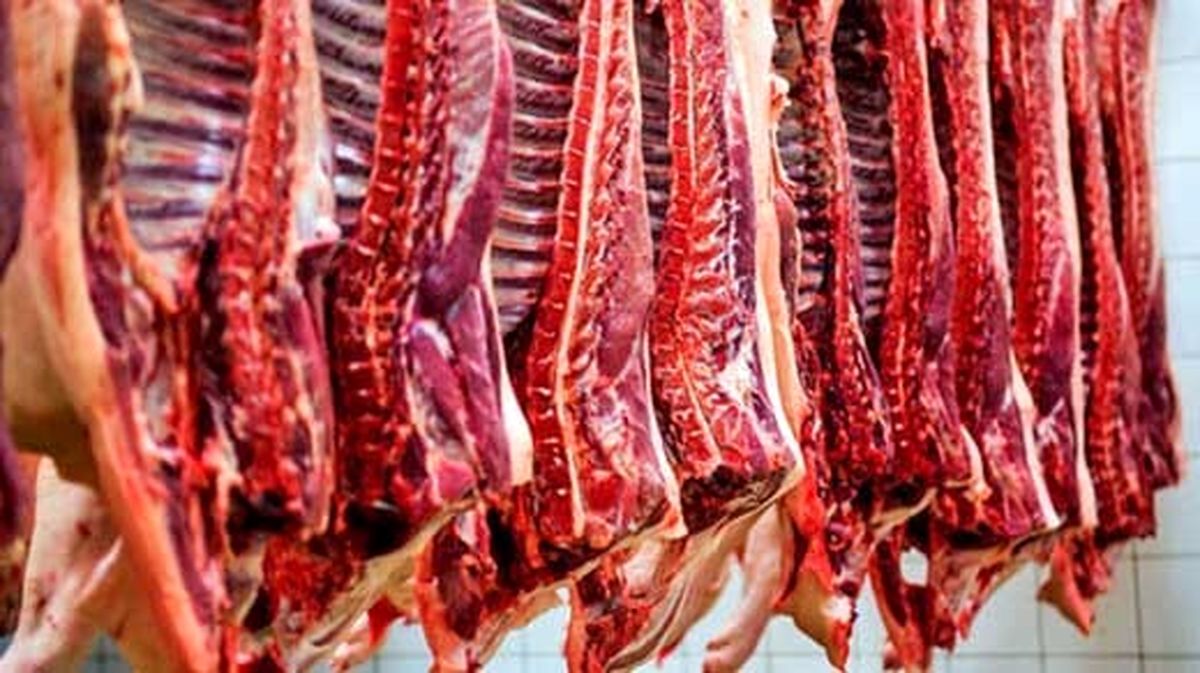 وضعیت قیمت گوشت قرمز در بازار