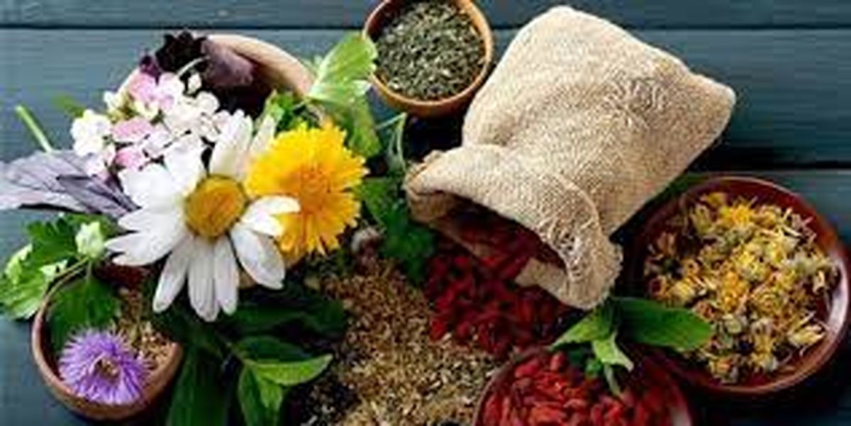 راهکارهای تغذیهای طب سنتی برای تقویت سیستم ایمنی بدن در آلودگی هوا