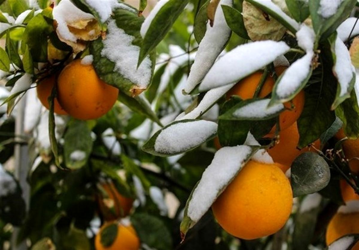 پیشبینی هواشناسی نسبت به بارشهای سنگین در ۱۱ استان کشور