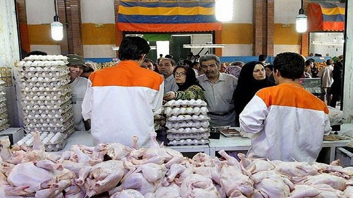 قیمت مصوب مرغ قطعه بندی این هفته اعلام می شود