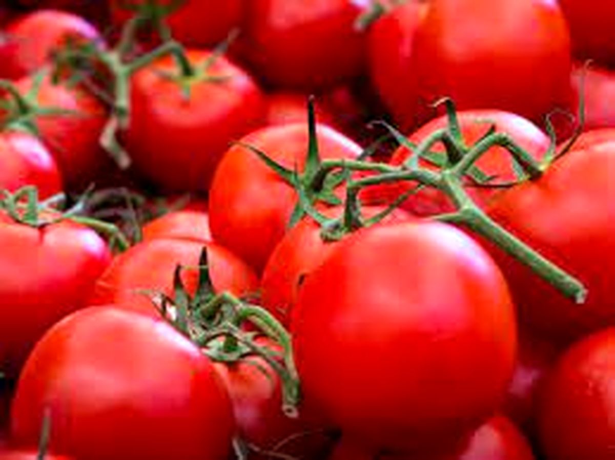 خواص ضدسرطانی گوجه فرنگی