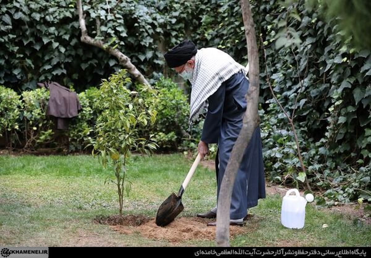 توسعه انرژی هستهای باید جدی گرفته شود تخریب محیطزیست تخریب منافع ملی است