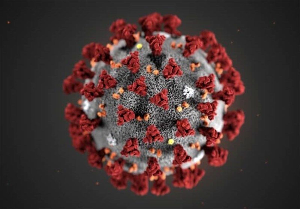 ویروس جهش یافته جدید کرونا در سرزمین‌های اشغالی شناسایی شد