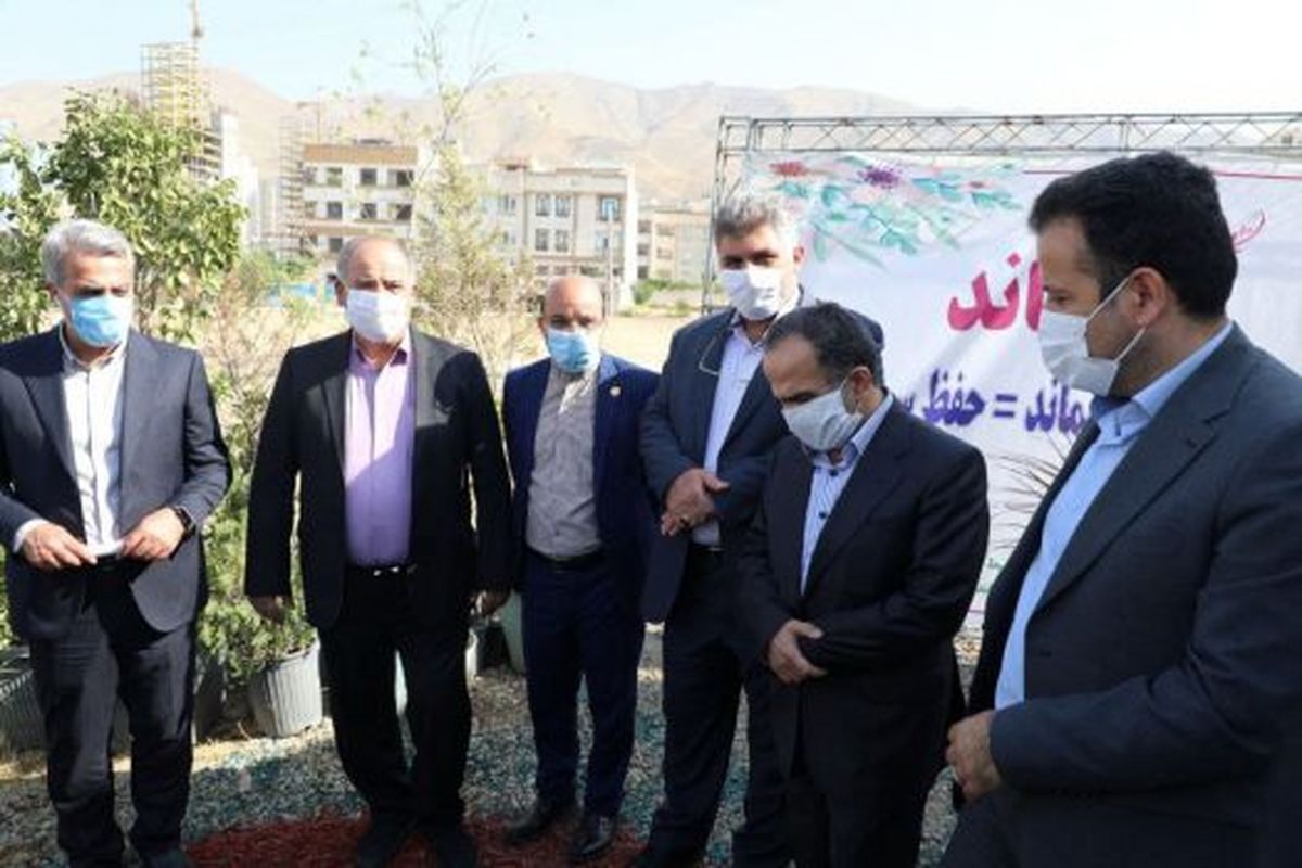 پسماند خشک بدهید گل و گلدان بگیرید