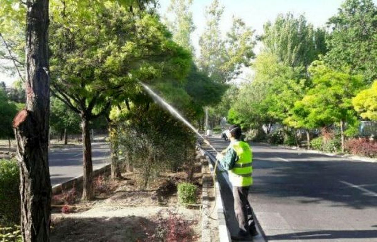 کنترل آفات درختان منطقه ۲ با اجرای عملیات آبشویی