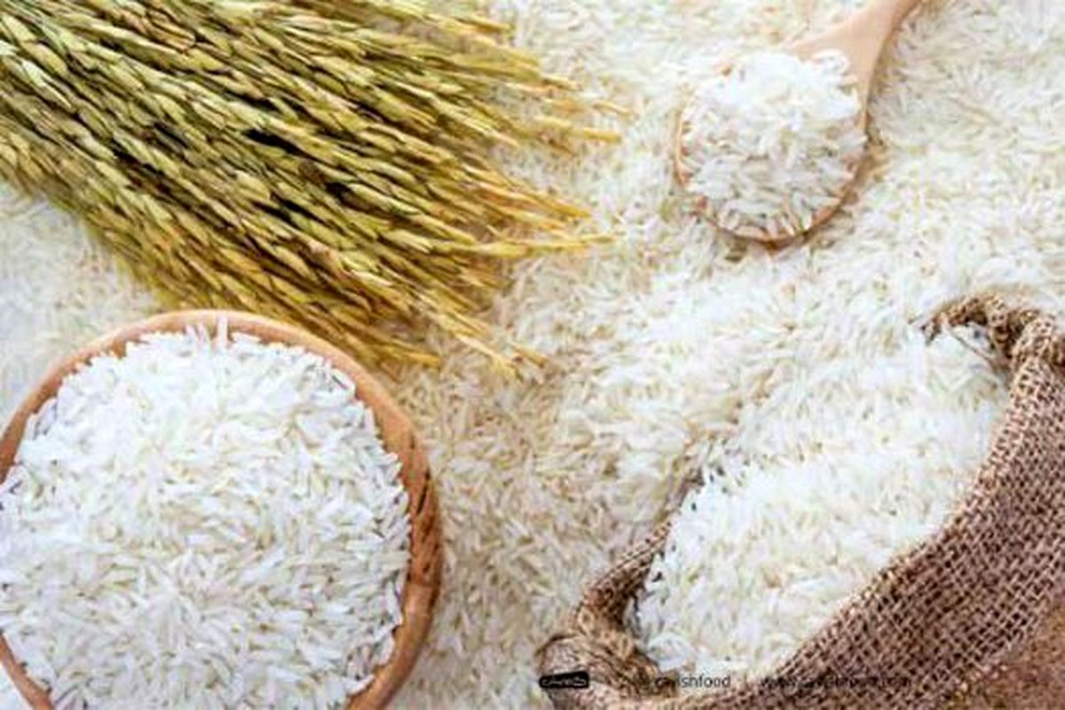 برنج دمسیاه، طارم و هاشمی در میادین؛ هر کیلوگرم ۳۸۹۰۰ تومان
