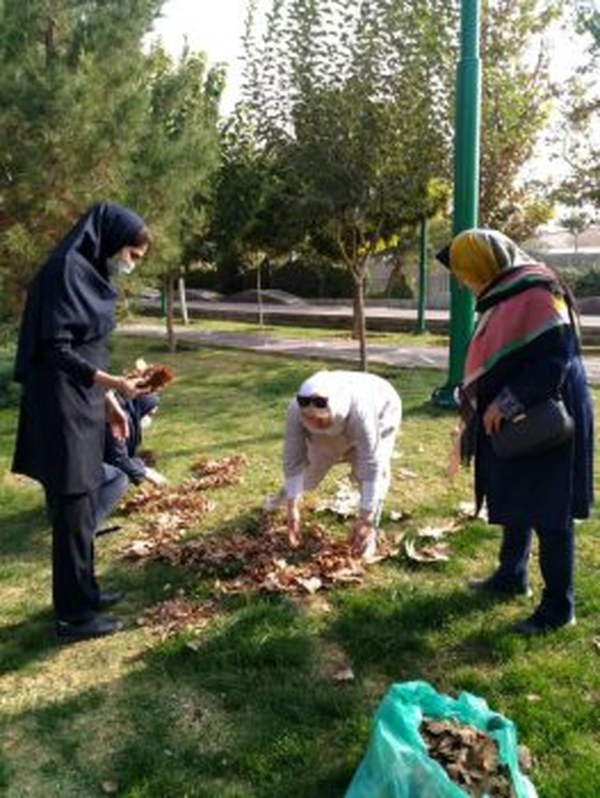 برگزاری جشنواره برگ های پاییزی در بوستان های منطقه ۱۳