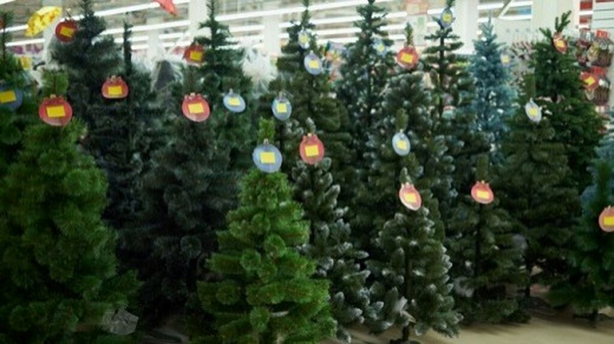 فروش درخت کریسمس در بازار + قیمت