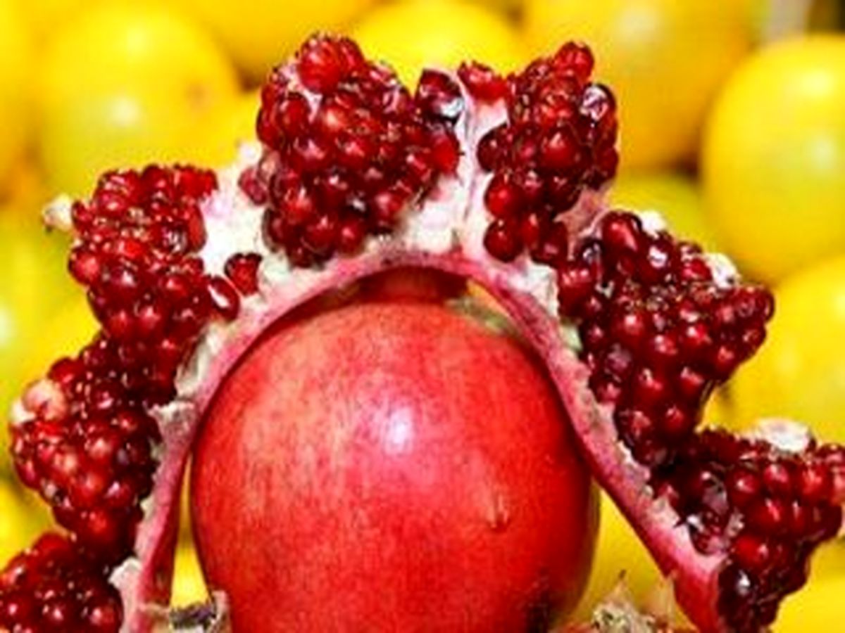 آوازخوانی و انواع بازی های شب یلدا در استانهای کشور