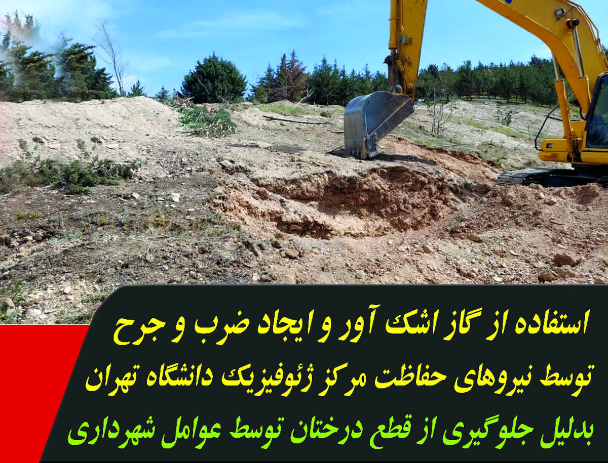 با متخلفین قطع درختان در موسسه زلزله نگاری دانشگاه تهران برابر قانون برخورد می شود