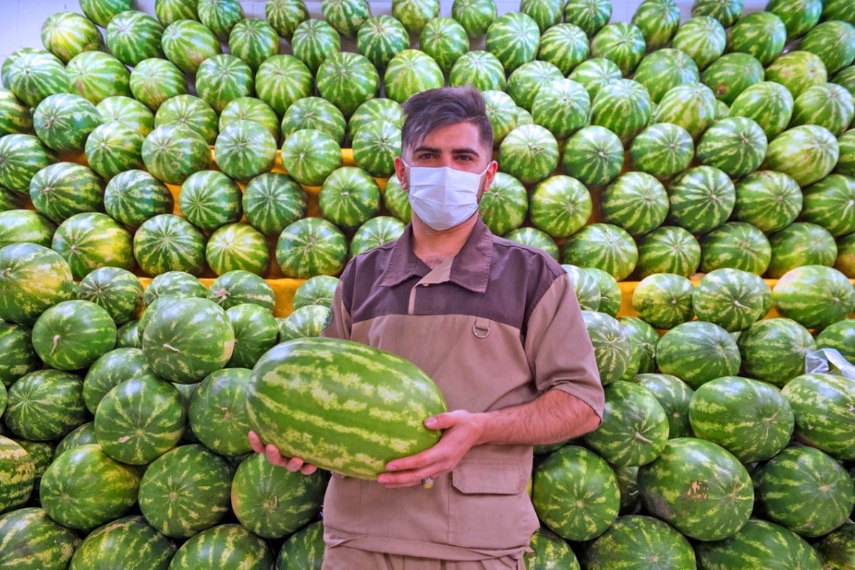 ماه مبارک رمضان، میزان فروش هندوانه را در میادین افزایش داد