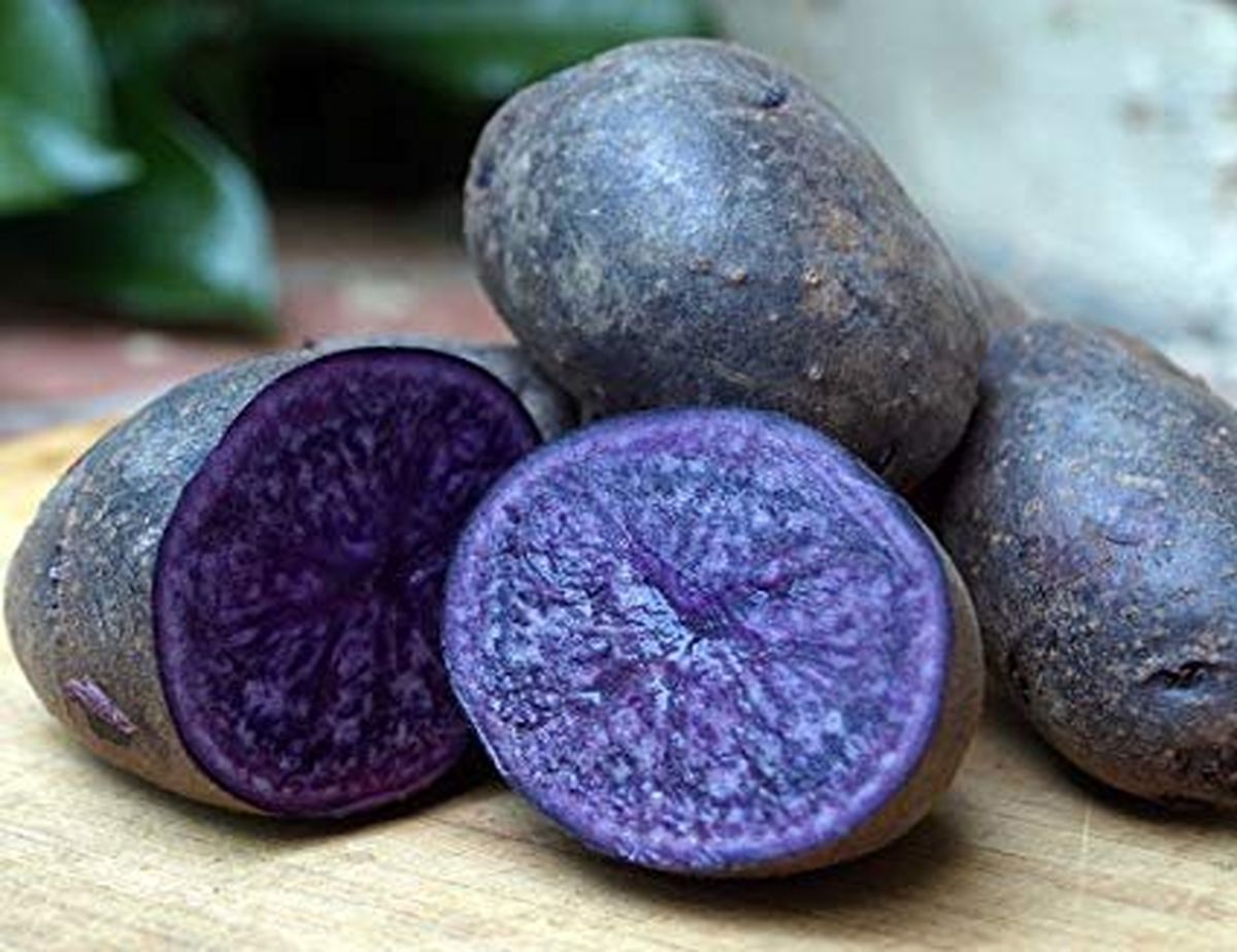 خواص عجیب و بینظیر سیب زمینی بنفش