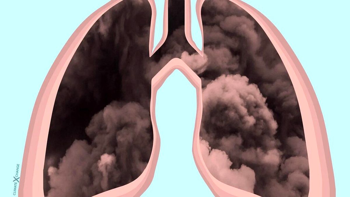 آلودگی هوا بر عمر انسانها دقیقا چه تاثیری دارد؟