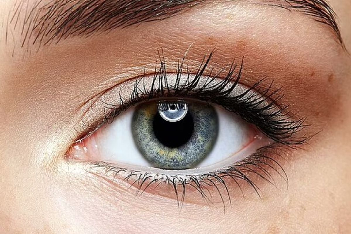 بهترین مواد غذایی برای سلامت چشمها کدامند؟