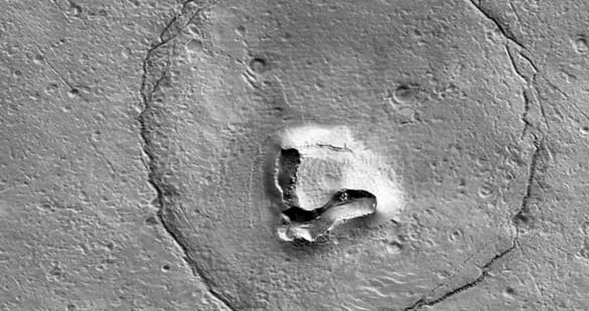 ناسا در مریخ خرس شکار کرد+عکس