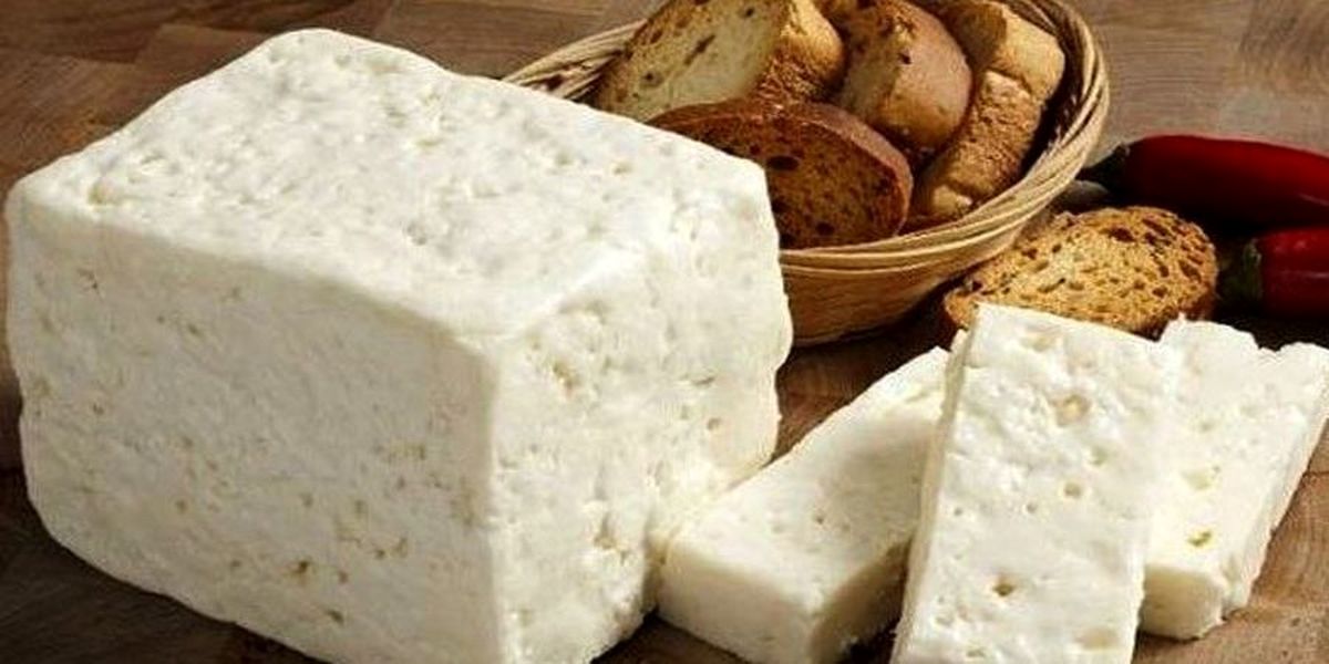 قیمت انواع پنیر در بازار + جدول