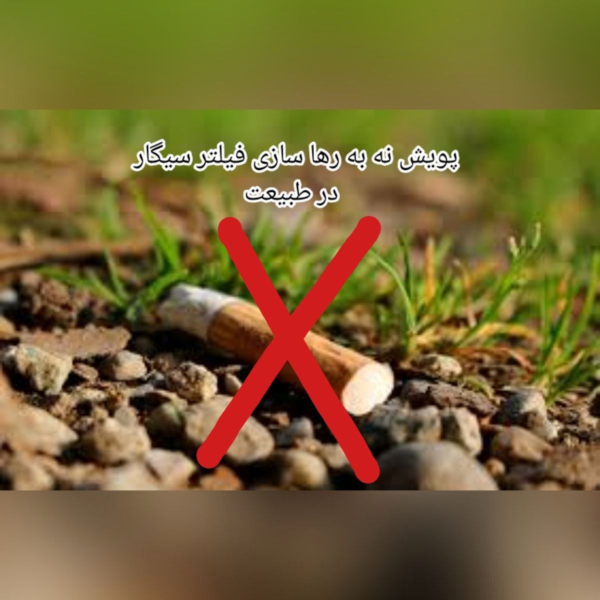 «نه به رها سازی فیلتر سیگار در طبیعت» در منطقه 13