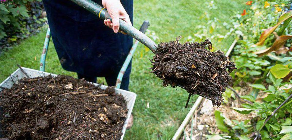تبدیل پسماندهای میادین میوه و ترهبار به کمپوست
