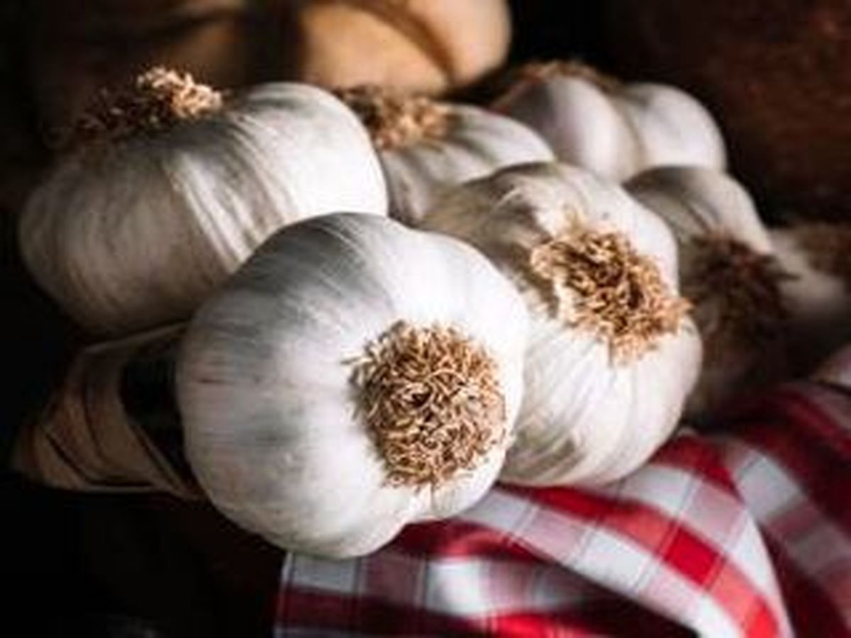 این 6 گروه نباید سیر بخورند!