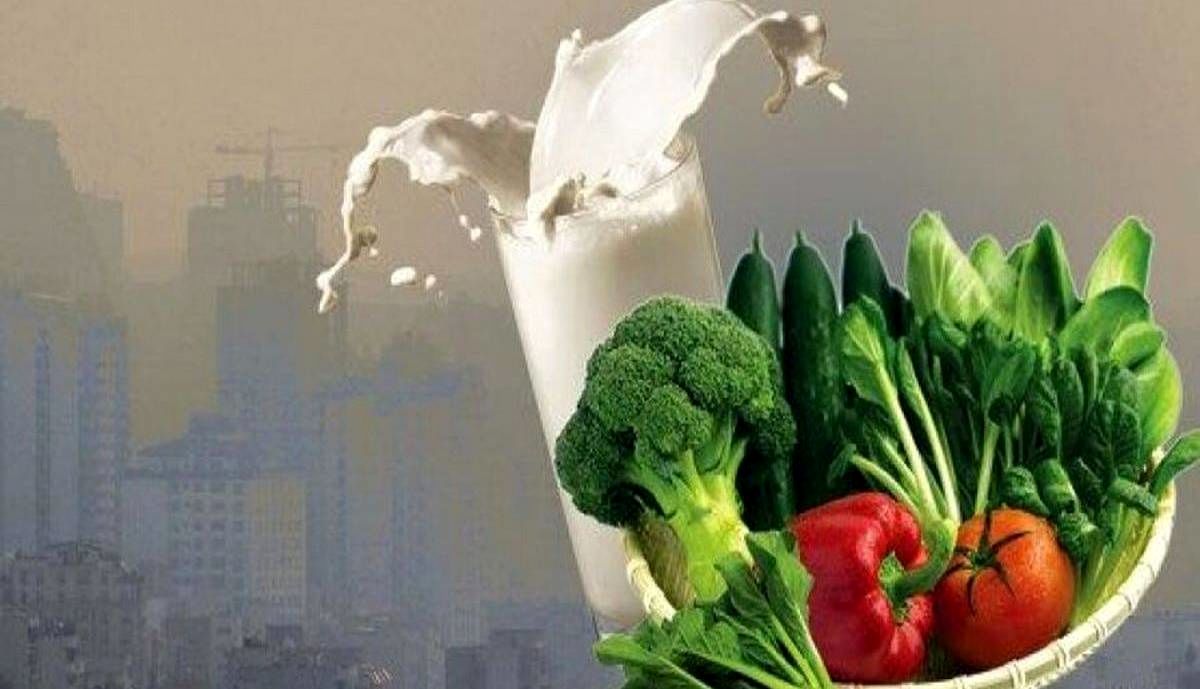 16 خوراکی مفید علیه آلودگی هوا