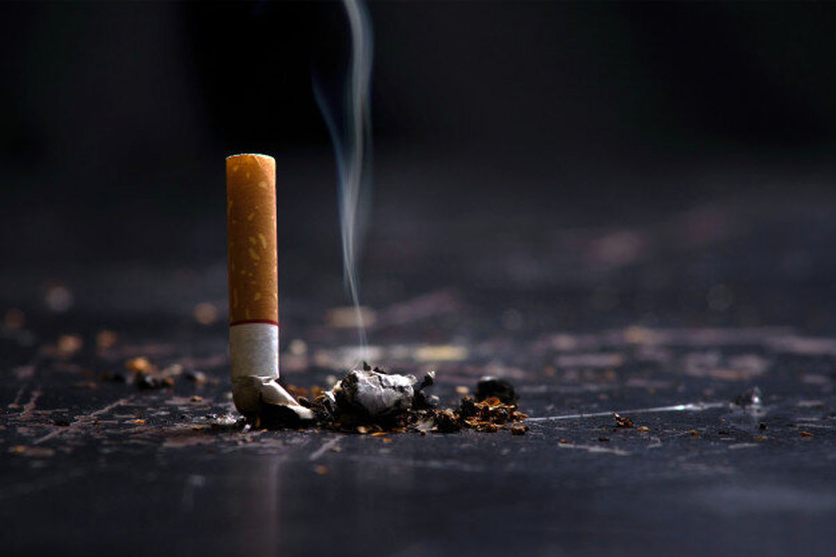 اجرای ویژه برنامه های هفته ملی بدون دخانیات در منطقه 15