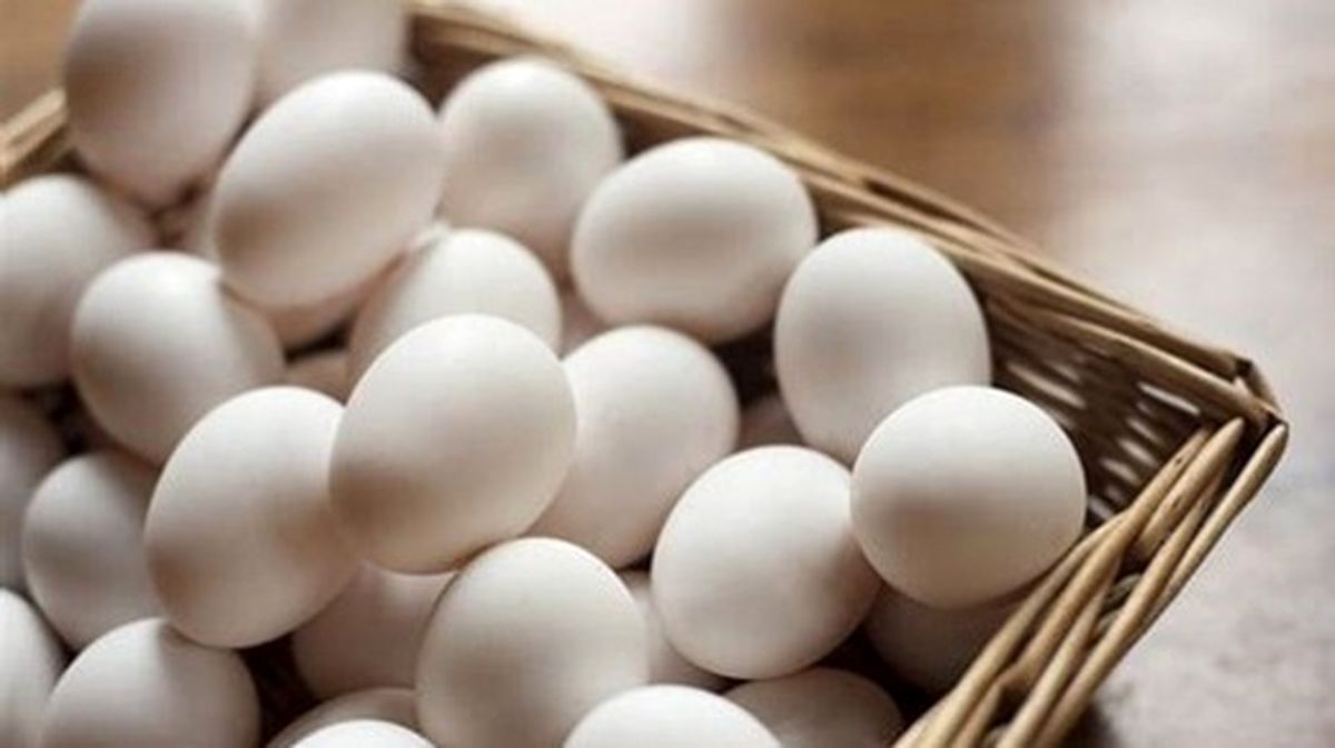 قیمت هر شانه تخم مرغ چند؟