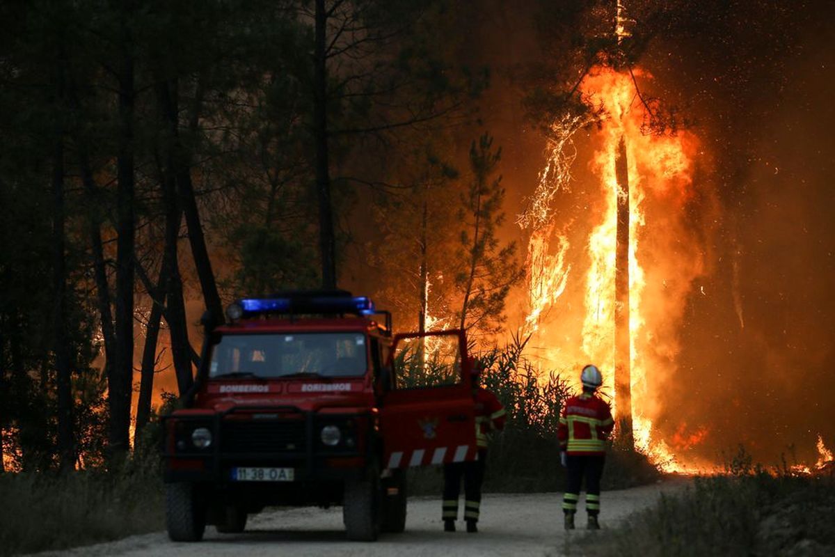 افزایش بی سابقه دمای هوا در اروپا   جنگل‌ها در آتش سوختند