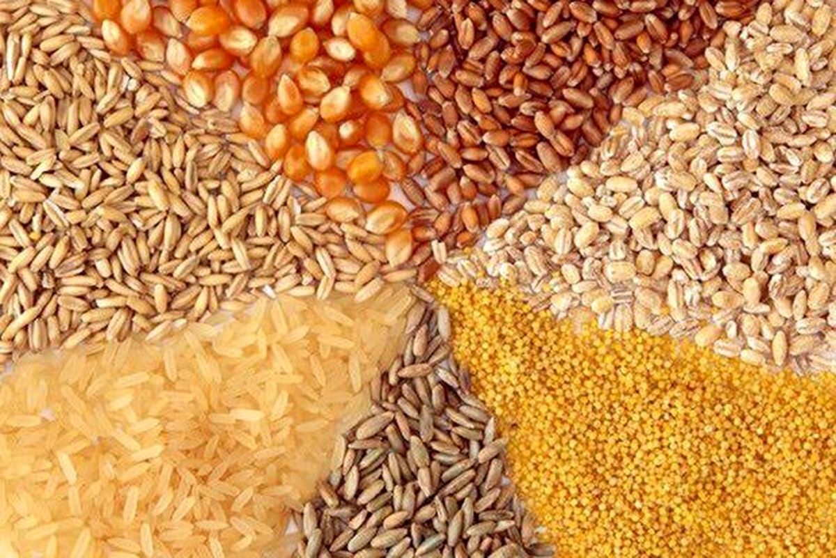 جزییات واردات نهادههای دامی از بندرامام به کشور