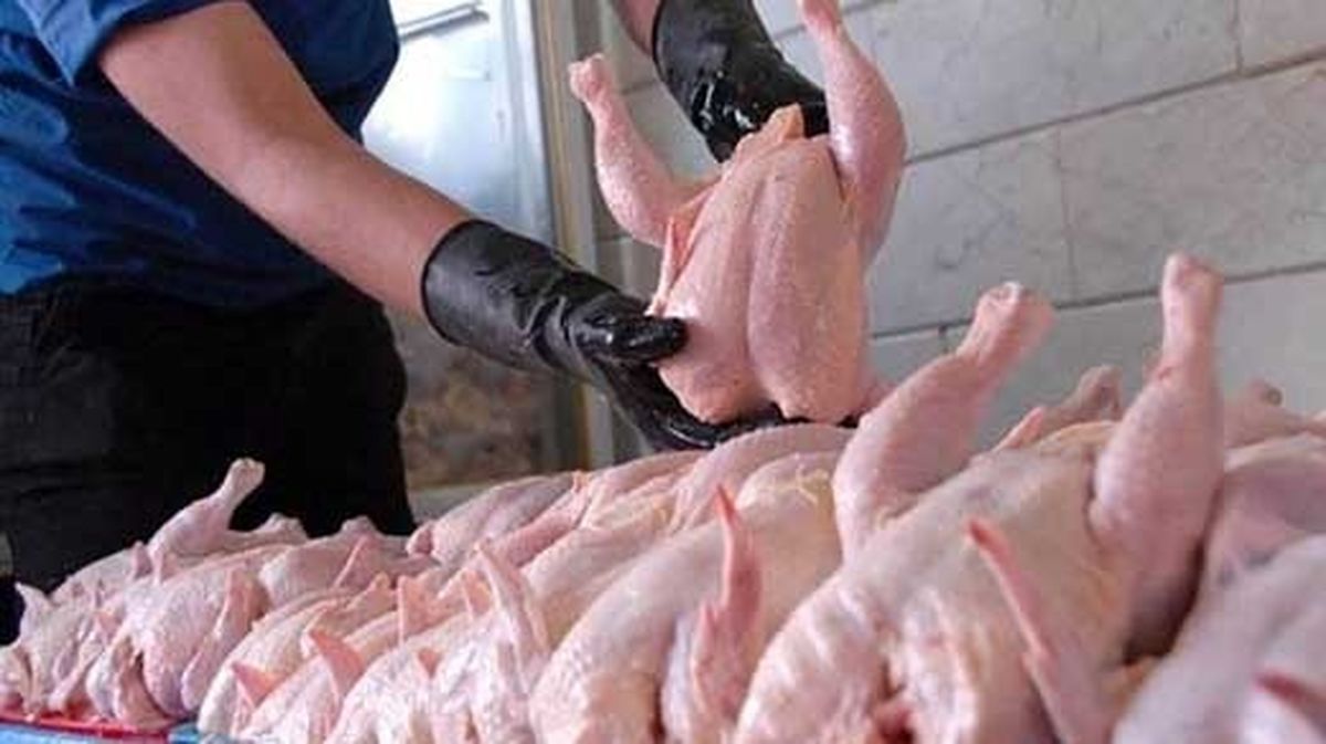 قیمت گوشت مرغ به زیر نرخ مصوب رسید