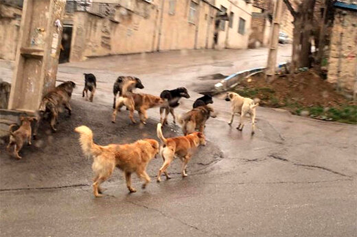 مراقب این باکتری در پارکها باشید!