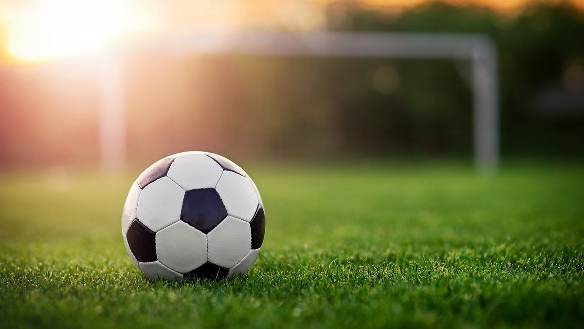 تیم ملی به مصاف پرسپولیس میرود