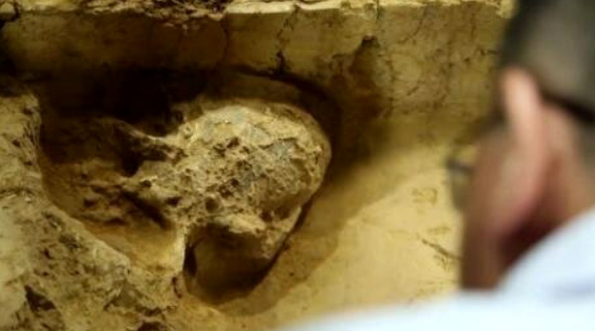 یک جمجمه انسان با قدمت یک میلیون سال کشف شد! +عکس