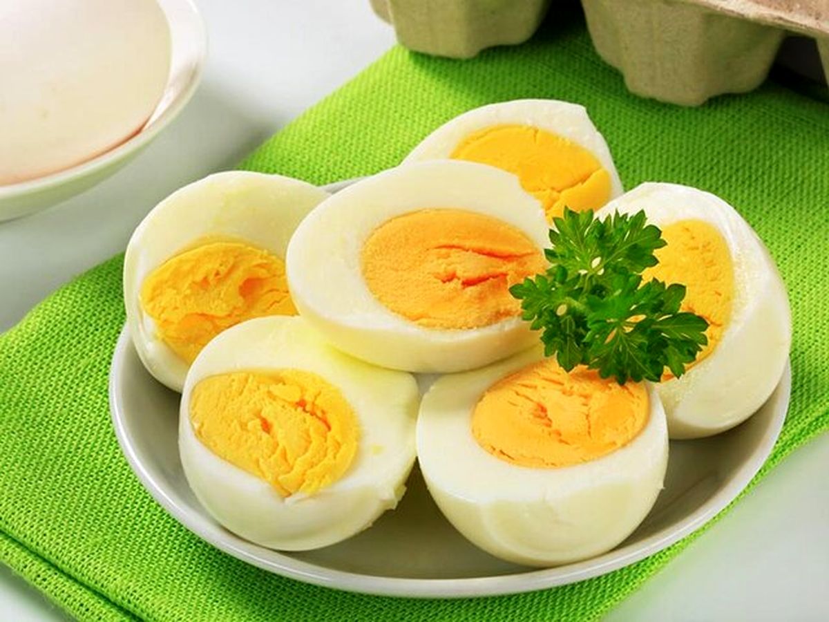 آشنایی با یک  بمبِ پروتئینی  به مناسبت روز جهانی تخم مرغ